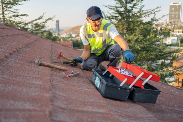 Professional Siding Installation & Repair in Jennings, LA